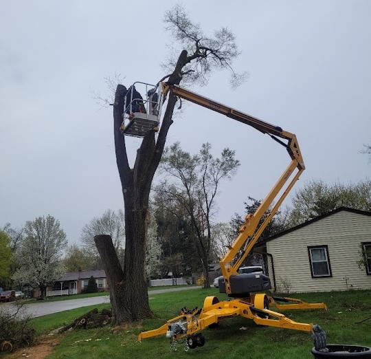 Professional tree removal equipment in Howell Michigan